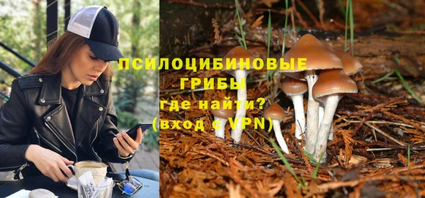 альфа пвп Краснотурьинск