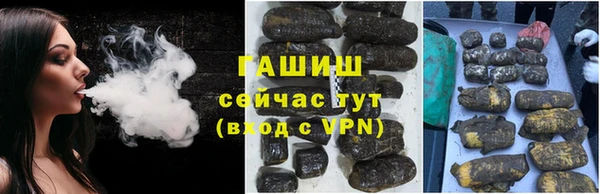 индика Надым